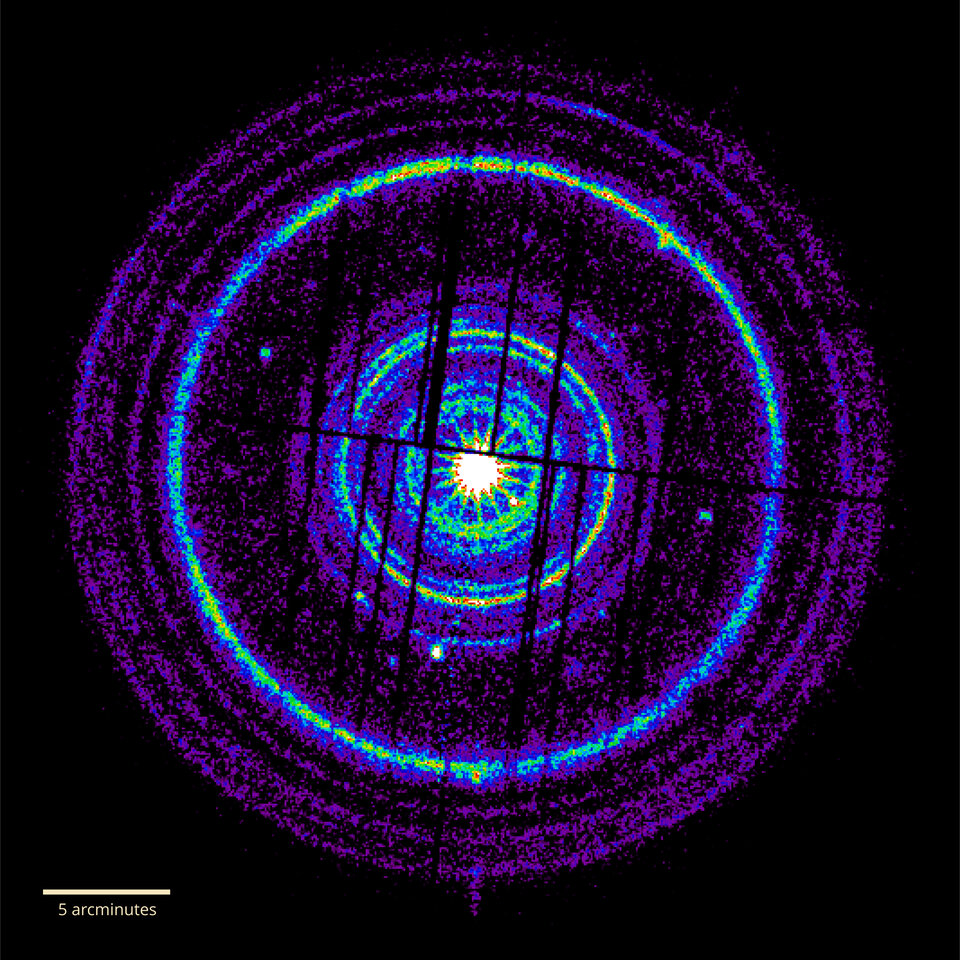 XMM-Newton captured dust rings from gamma-ray burst 221009A