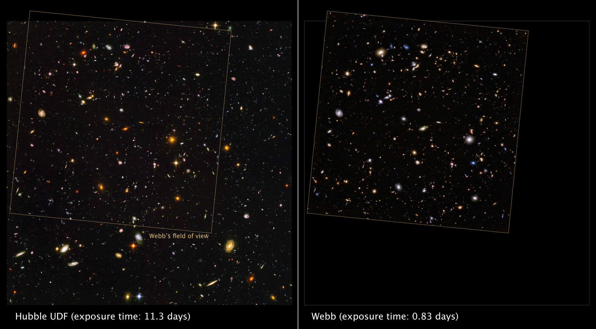 Webb observes the Hubble Ultra Deep Field