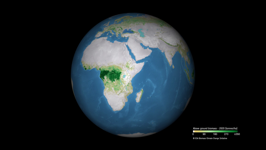 Above ground biomass 2020