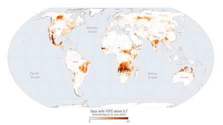 Global Fire Occurrence Probability Index