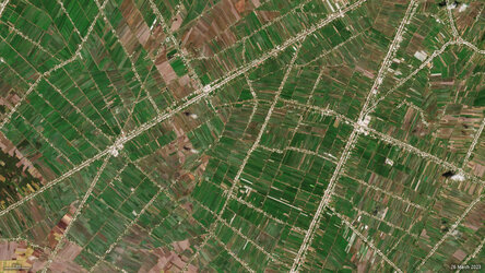 Rice fields, Mekong Delta