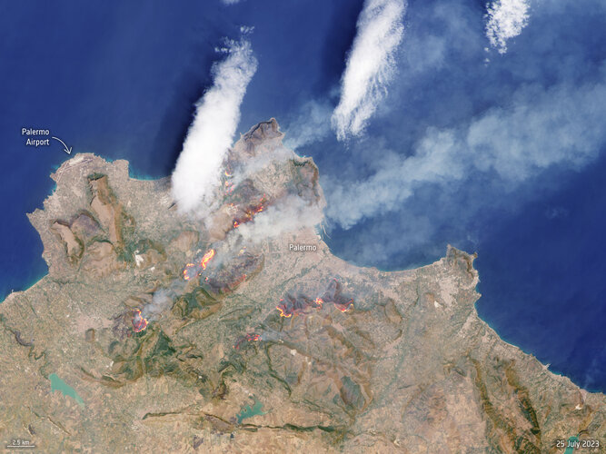Wildfires in Sicily