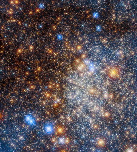 Hubble dispels dust to see a glittering globular cluster