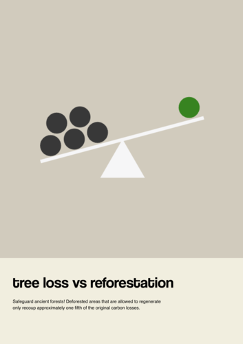 Tree loss vs reforestation