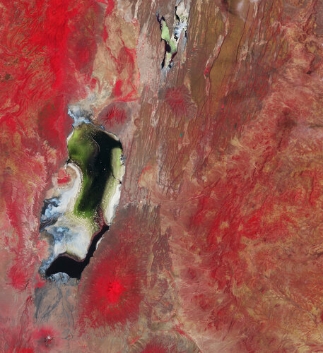 The Copernicus Sentinel-2 mission captures the colourful waters of two salty lakes in East Africa: Lake Natron in northern Tanzania and Lake Magadi in southern Kenya.