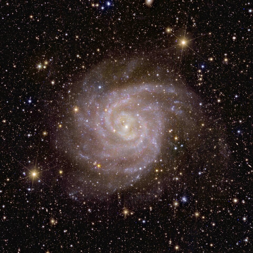 La galaxie spirale IC 342 vue par Euclid