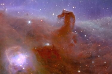 Euclid’s view of the Horsehead Nebula - zoom 2