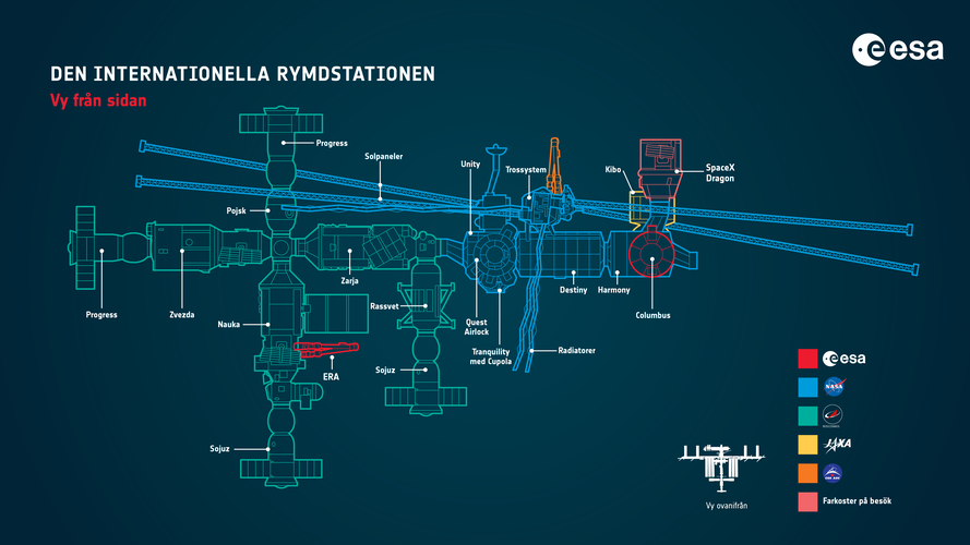 Infografik: Den Internationella Rymdstationen