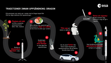 Infografik: Traditioner Innan Uppsändning – Dragon