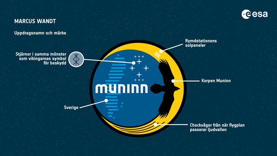 Muninn Uppdragsnamn och märke 