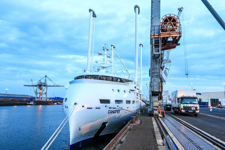 Canopée in Bremen harbour