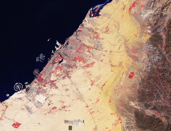 This false-colour image acquired by the Copernicus Sentinel-2 mission shows the city of Dubai and its surroundings in the United Arab Emirates. 