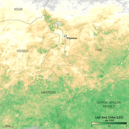 LAI in central Africa July 2010 and July 2018