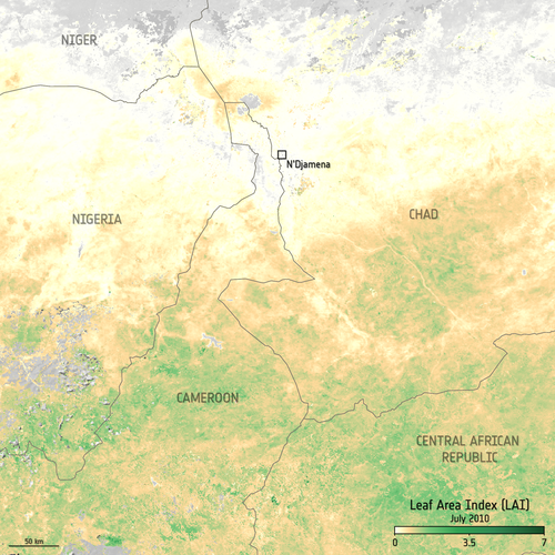 Leaf Area Index in central Africa in July 2010 