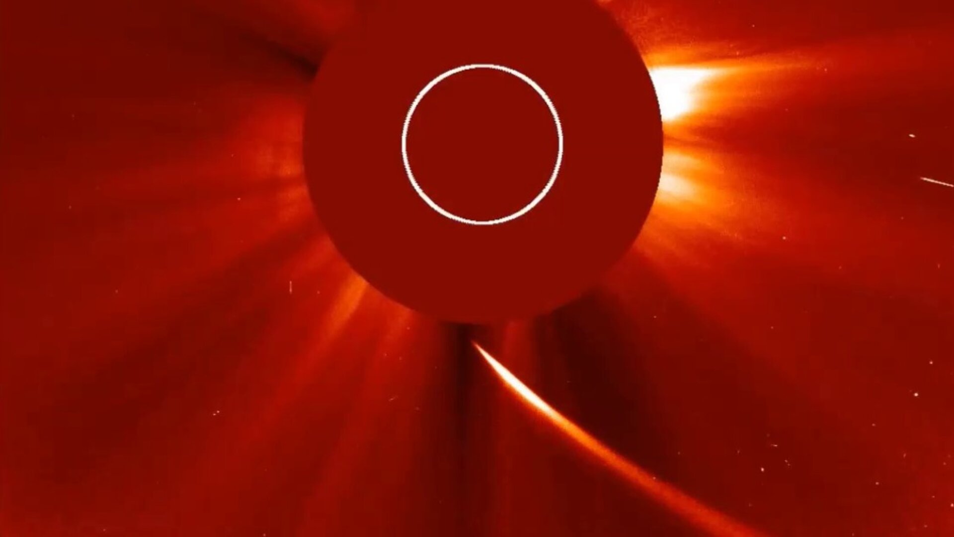 Comet ISON’s nail-biting encounter with the Sun 27–30 November