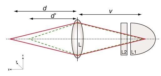 Jumping spider optics model.