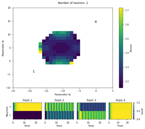 Bifurcation analysis of oscillatory dynamics observed in 2-neuron network.