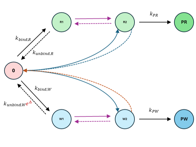 Stochastic control of out-of-equilibrium thermodynamic error-correction