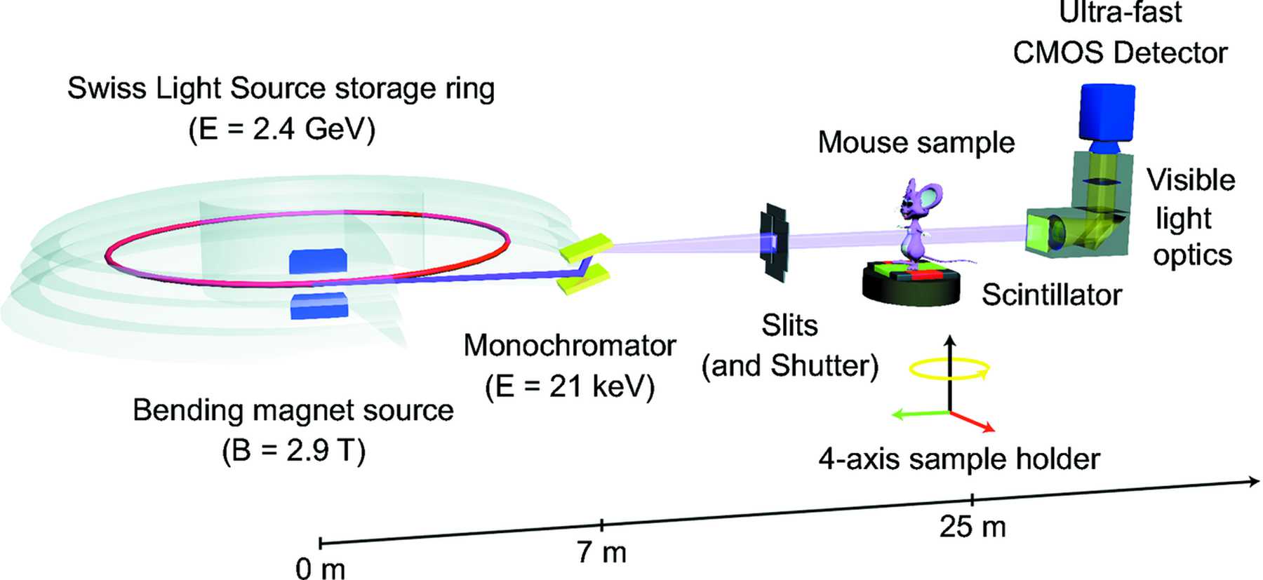 From [5]: Experimental setup at the X02DA TOMCAT beamline