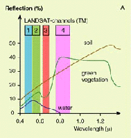 Graphs of spectral signatures of water, soil and vegetation