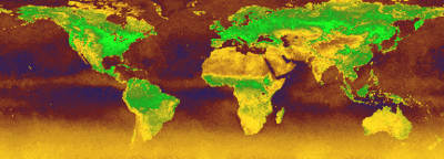 Global vegetation map for July based on a mosaic of NOAA data