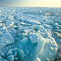 Sea ice