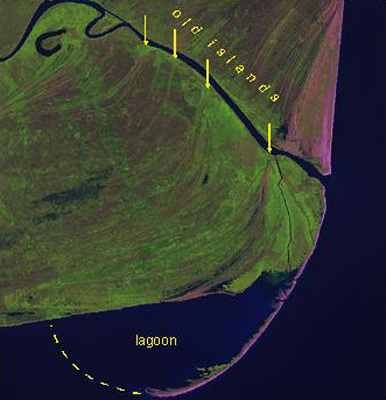 Landsat image acquired in 2000
