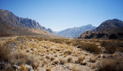 Andean landscape in Argentina