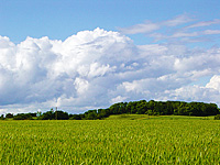 Clouds approaching. Summer in Denmark.