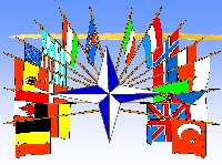 NATO Telemedicine Panel