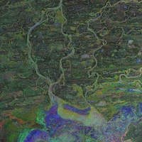 ERS image of the Niger Inland Delta