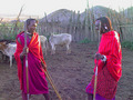 Two Maasai men inside their boma