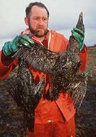 Braer oilspill, Shetland Islands, Scotland