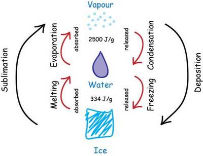 Phase transitions between ice, water and vapour