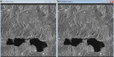 SAR image before (left) and after (right) filtering