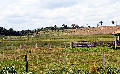 Deforested area with agriculture and pasture