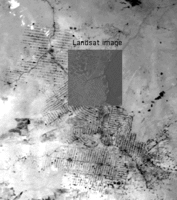 Landsat image