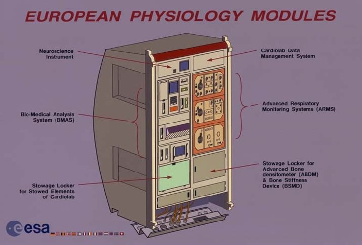 European Physiology Modules