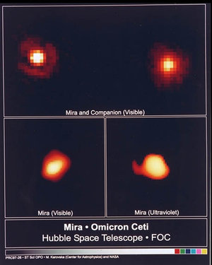 FOC images Mira binary system
