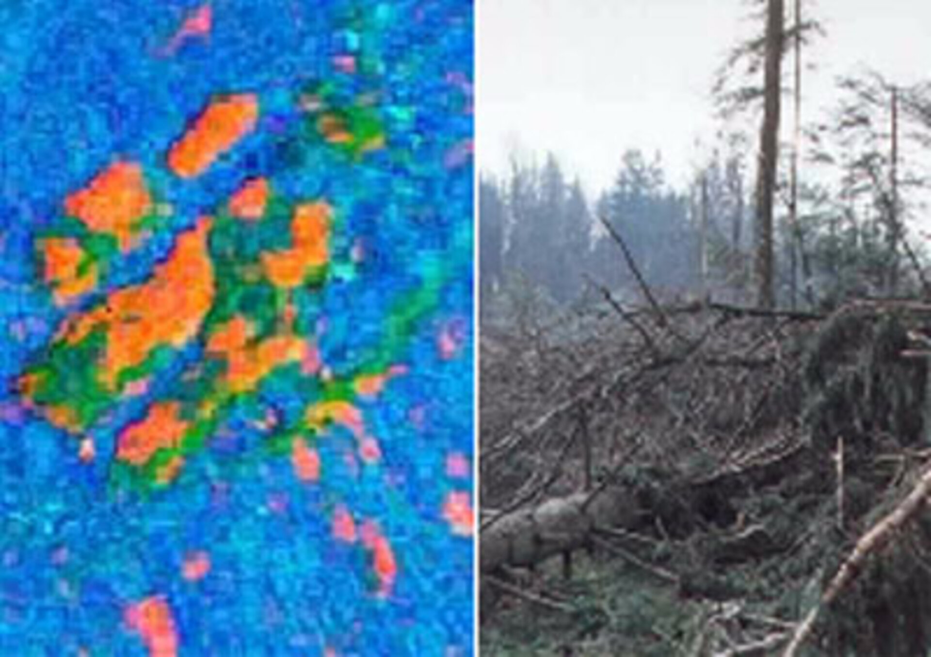 Forest damage (orange areas) caused by storm "Lothar" in Dec. 1999.