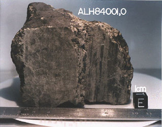 Mars meteorite ALH 84001