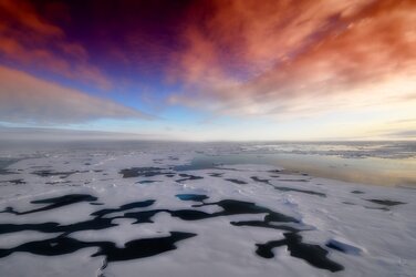 Sea ice