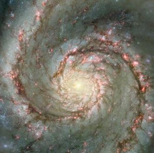Draaikolknevel M51