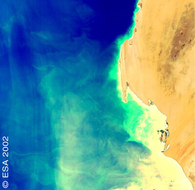 Das erste Bild von MERIS. Es zeigt die Konzentration des Chlorophylls entlang der mauretanischen Küste vor Westafrika.