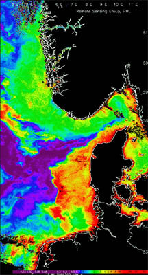 Image showing chlorophyll concentration and sea-surface temperature