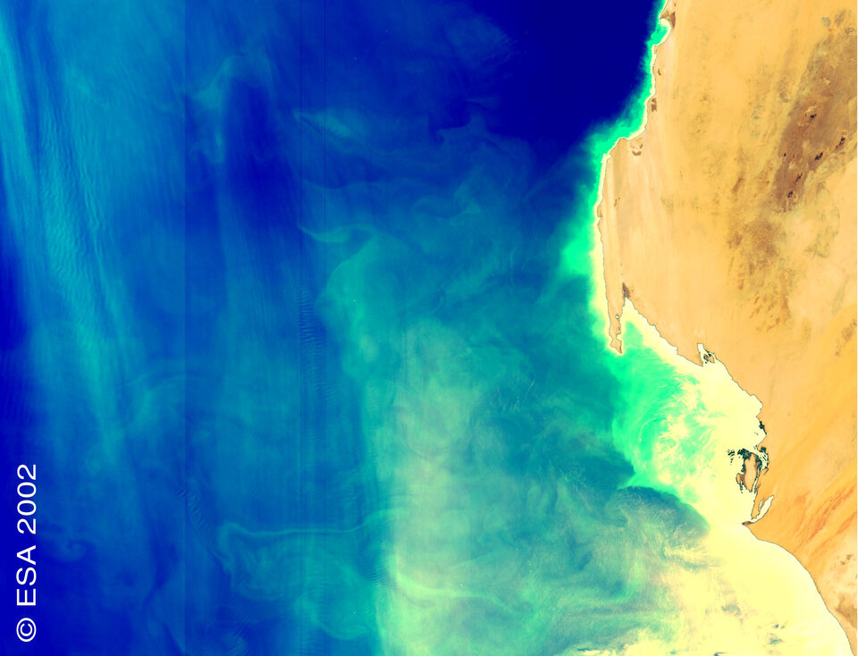 La prima immagine di Envisat: le coste della Mauritania (MERIS)