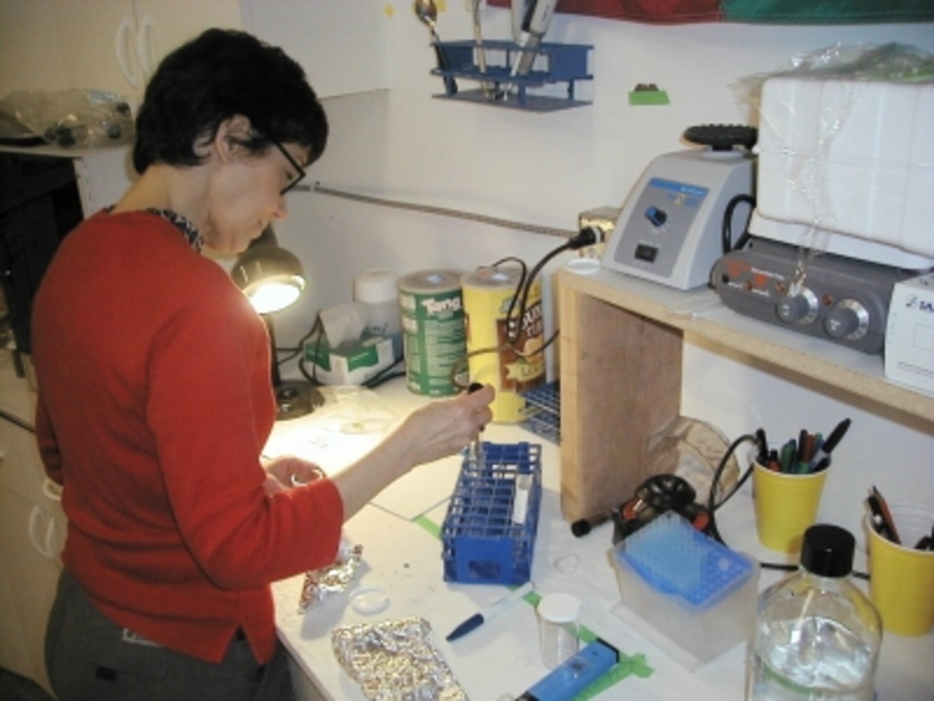 Biologist Nancy Wood working in the biology lab in the Ground floor