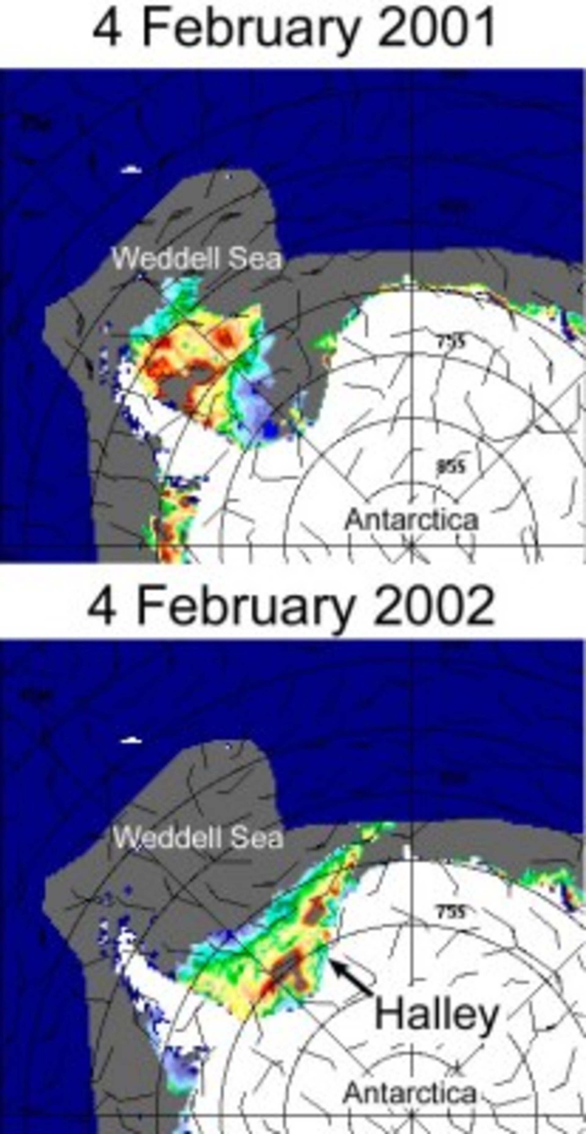Scatterometer images comparing summer pack-ice conditions in early February 2001 and 2002