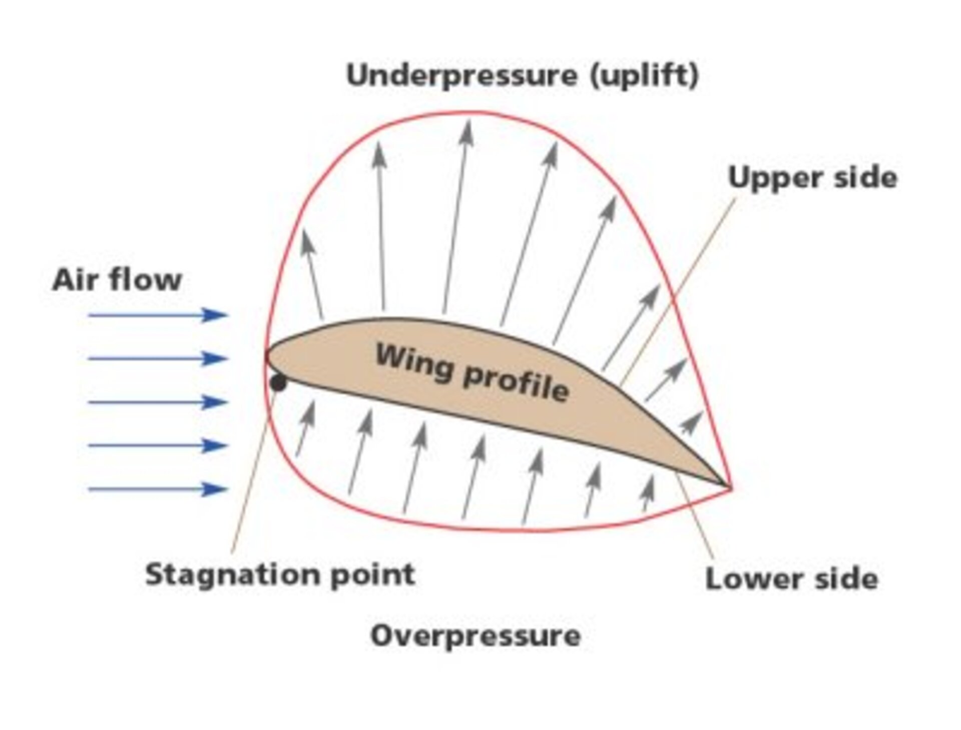 Dynamic lift: Pressure distribution