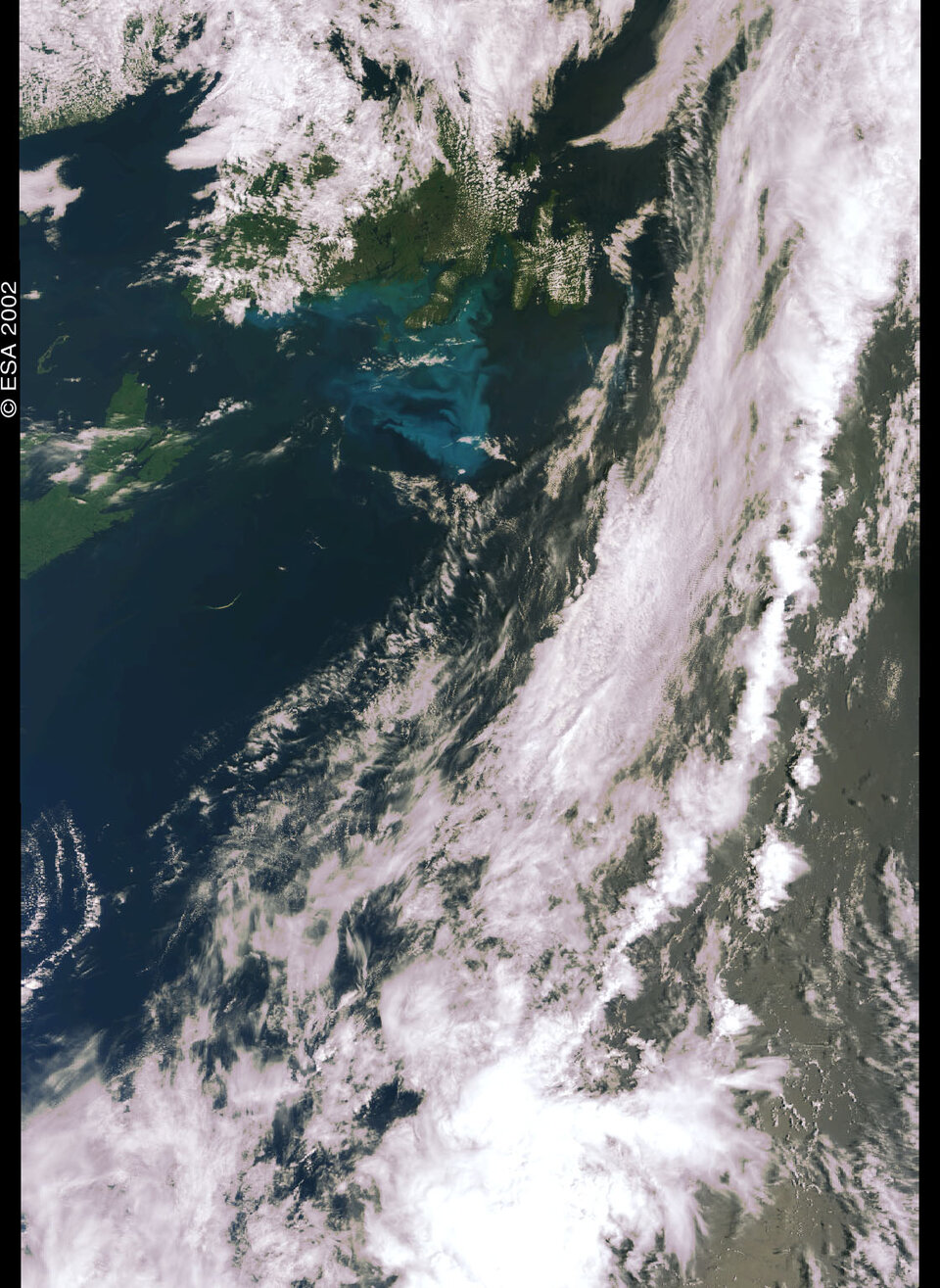 The phytoplankton bloom in Atlantic waters off eastern Canada on 10 August 2002